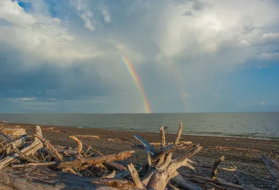 Красочная радуга над морем с темными облаками и видом на полнолуние 4K  загрузка обоев