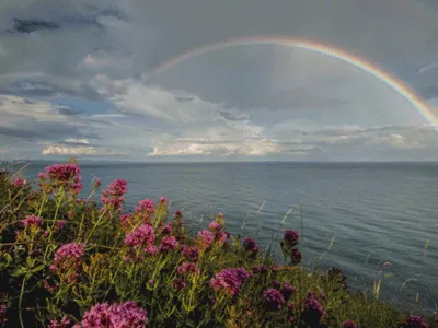 Фото Красивая двойная радуга в небе над скалистым побережьем моря