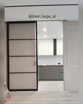 Двери XL | Раздвижные двери на кухню с матовым стеклом - Купить в Харькове