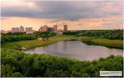 Раменское - Московская обл. | Город, Недвижимость, Леса