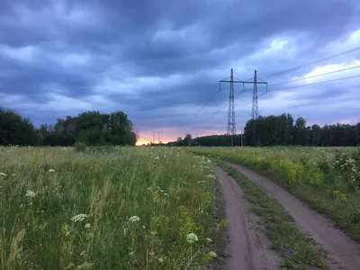 Рассвет в лесу. Купить работы автора – Померанцев Михаил Михайлович