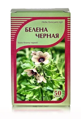 Белена черная трава 50 гр. купить по выгодной цене в интернет магазине  \"Мед-Конфитюр\" Москва art. 00-00018467