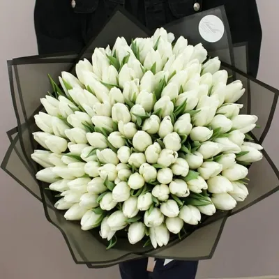 Купить Букет из 121 белого тюльпана с доставкой в Краснодаре | Vanilla