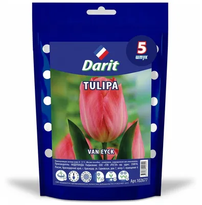 Луковичные семена цветов Тюльпан Дарвина Ван Эйк, 5 луковиц в упаковке,  Darit — купить в интернет-магазине по низкой цене на Яндекс Маркете