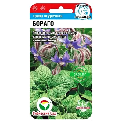 Купить огуречная трава Бораго 0,5 г по выгодной цене в Беларуси