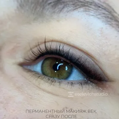 Татуаж глаз с растушевкой цена в Москве сделать перманентный макияж с  растушевкой в салоне-студии