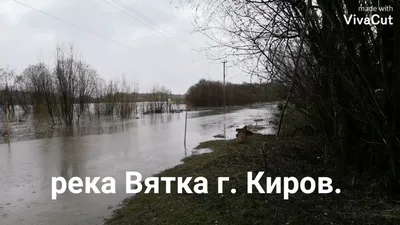 В Кирове построят экстремальный канатный спуск через Вятку за 11 млн рублей  | ИА Красная Весна