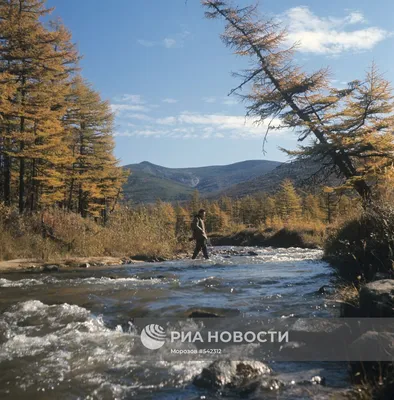 Колыма | РИА Новости Медиабанк