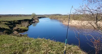 Река Медведица - жемчужина донского казачества