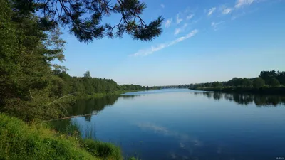 Еще немного природы на Пикабу. Река Медведица | Пикабу