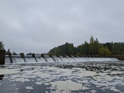 Плотина на реке Медведица (Верхняя Троица - Тверская область)