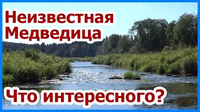 Сплав по реке Медведица. Поход на байдарке. Река Медведица от Мирного -  YouTube