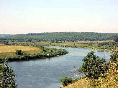 Река Ока — круизы и рыбалка, судоходство и гидроузлы, характеристики и  происхождение названия