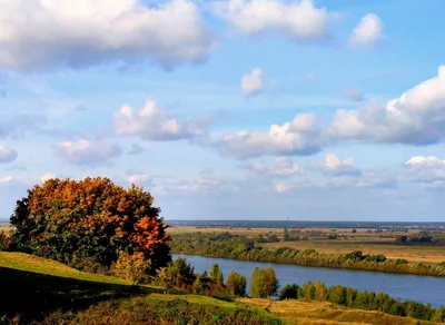 Реки Рязани и Рязанской области | Рязанский край - портал о природе Рязани  и Рязанской области