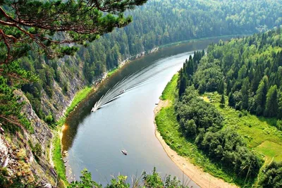 Парк «Река Чусовая» не соблюдает закон о пожарной безопасности в лесах - МК  Екатеринбург