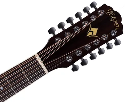 Купить Акустическая гитара Parkwood W81-12-OP 12-струнная с чехлом -  Гитарный центр Guitarget