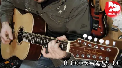 12-ти струнная акустическая гитара JAMES NELIGAN NA30 - YouTube