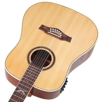 Фа-Соль - 12-струнная гитара Caraya F64012-BS