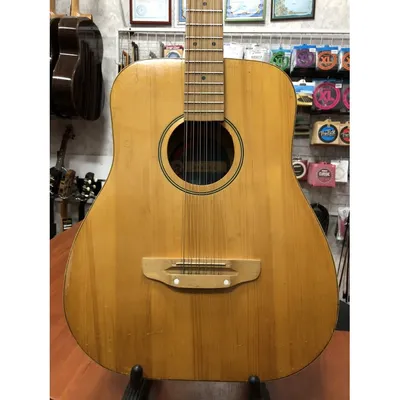 Акустическая гитара 12-струнная \"Дредноут\" с чехлом, Массив Ели, Cort -  купить с доставкой по выгодным ценам в интернет-магазине OZON (1295977713)