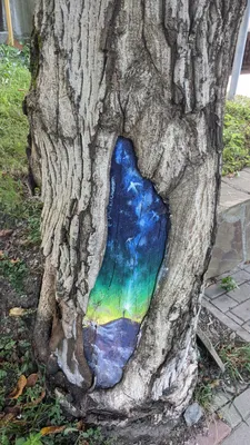 Рисунок в дереве | Пикабу