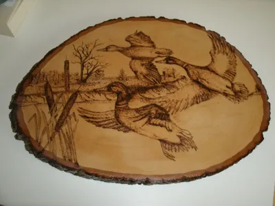 Рисунки на спилах дерева. 15 умопомрачительных картин