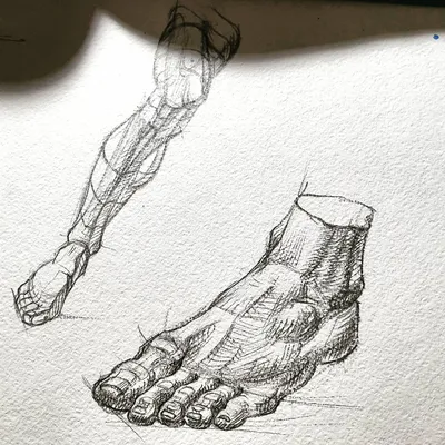 Сосудистый рисунок на ногах у ребёнка - Вопрос педиатру - 03 Онлайн