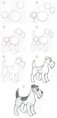 Как нарисовать собаку поэтапно карандашом | Рисунок карандашом, Собаки,  Рисование