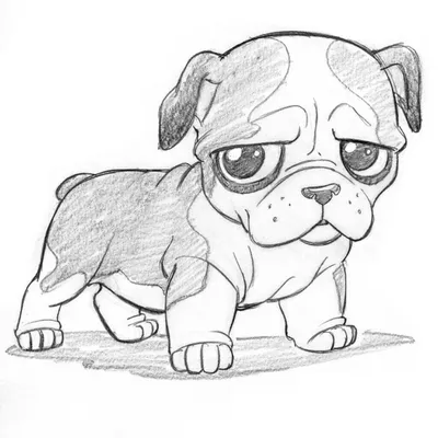 Как нарисовать собаку поэтапно карандашом | Собаки, Рисование, Карандаш