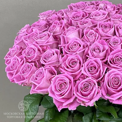 Купить Уральская роза «Аква» 50 см в Екатеринбурге с доставкой