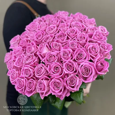 Роза Аква 60 см в крафте 51 шт, Цветы и подарки в Дмитрове, купить по цене  7790 руб, Монобукеты в Салон цветов на Почтовой с доставкой | Flowwow