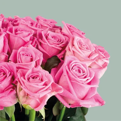 Букет. Розовая роза Аква 40 см. 29 шт. N1025 — купить в интернет-магазине  по низкой цене на Яндекс Маркете