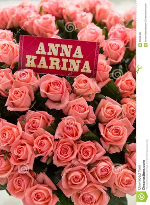 Купить саженцы роз Анна Молинари (Anna Molinari) с доставкой по Краснодару