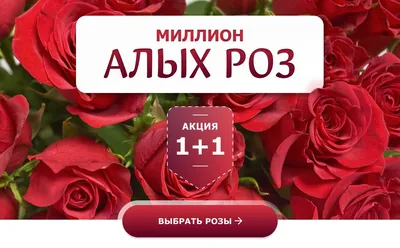 abekker.ru: 💟 Влюбленным в розы 🌹: Акция 1+1 | Milled