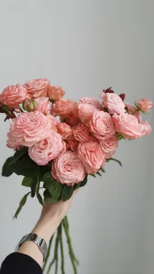 Букет из пионовидной розы Мадам Бомбастик
