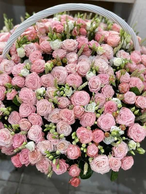 101 пионовидная роза Бомбастик в корзине 1 шт. купить от 42990 рублей в  интернет-магазине