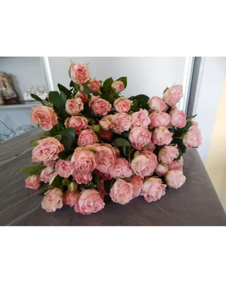 Спрей роза Бомбастик — купить с доставкой, цены, отзывы, фото | Tdanilova