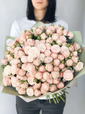 Кустовые пионовидные розы Бомбастик - купить в Москве | Flowerna
