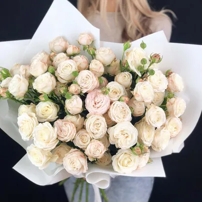 Купить розы Мадам Бомбастик с доставкой в Москве недорого - Roses Delivery