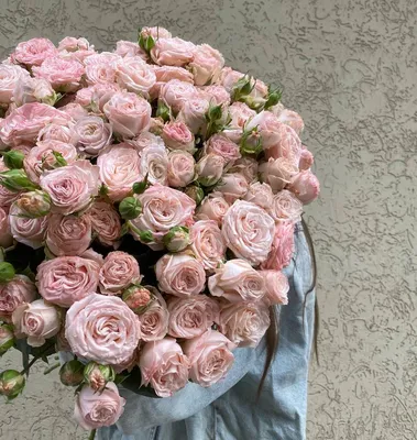 Кустовая пионовидная роза Бомбастик купить в Ростове-на-Дону - Заказать с  доставкой недорого
