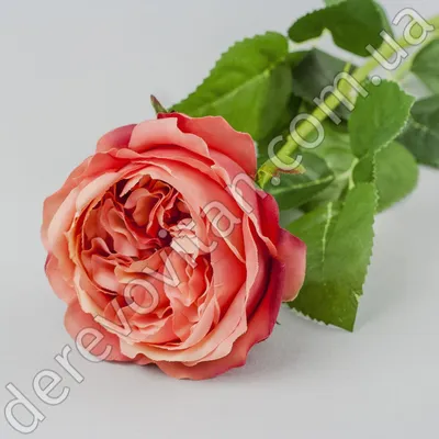 Купить розы Дэвида Остина Боскобель искусственные, розовые, 72 см