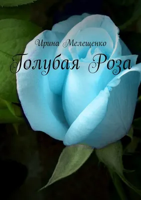 Голубая Роза, Ирина Мелещенко – скачать книгу fb2, epub, pdf на Литрес