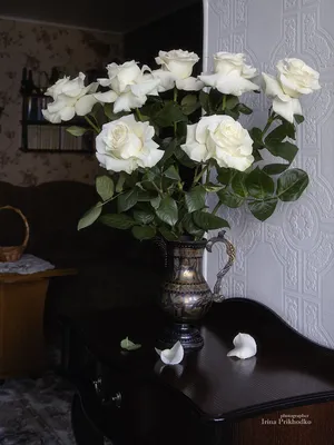 Букет белых роз в интерьере. Фотограф Приходько Ирина