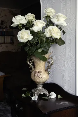 С букетом белых роз. Фотограф Приходько Ирина