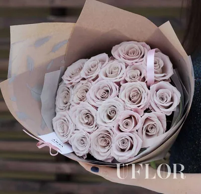Пудровая роза Мента - заказать цветы с доставкой в Москве недорого - UFLOR.  4 940 руб.