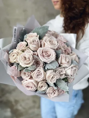 Розы Мента с сенецио - купить в Москве | Flowerna