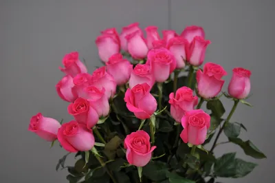 Купить Роза Topaz Онлайн / Срезанные цветы в Кишиневе, Молдова