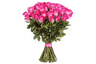 Роза Топаз (Topaz) 40 см. Букет розовых Роз Топаз (Topaz) 35 шт. (Эквадор)