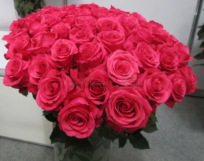 Роза Topaz (Топаз) – купить саженцы роз в питомнике в Москве