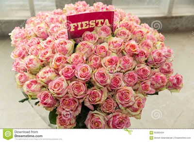 Fiesta Rose Bouquet with Pink-yellow Pattern Stock Photo - Image of bunch,  blossom: 65383434