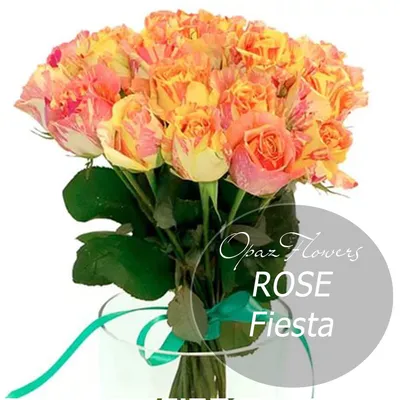 Роза Fiesta (60 см) поштучно - Цветочный Маркет 24 в Видном